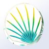 Crystal award trophy featuring a circular glass design with stylized yellow, green, and blue palm leaf—ideal for corporate recognition.