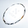 Crystal plaque award with etched netarx logo, ideal for corporate recognition or employee achievement.