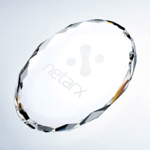 Crystal plaque award with etched netarx logo, ideal for corporate recognition or employee achievement.