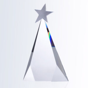 Crystal star award trophy with textured silver star on top, ideal for corporate recognition or achievement milestones.