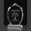 Crystal plaque with engraved text for outstanding service; features Riverfront YMCA logo. Ideal for corporate recognition.
