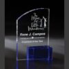 Crystal award trophy with blue base, etched for Employee of the Year at The Home for Little Wanderers.
