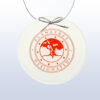 Crystal ornament award with red tree emblem and "Planetree Designated" text, ideal for corporate recognition.