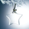 Crystal star award hanging from gold ribbon, displayed on frosted branch; ideal for employee or corporate recognition.