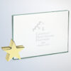 Crystal star plaque with gold brass accent, etched for "Catholic Healthcare Partners 2008 Longest Putt" recognition.