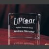 Crystal glass award plaque on red wood, engraved for highest revenue achievement; corporate recognition trophy.