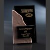 Black and bronze plaque with gold text, recognizing James Nguyen for top team recruits at WFG Convention of Champions.