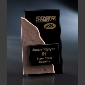 Black and bronze plaque with gold text, recognizing James Nguyen for top team recruits at WFG Convention of Champions.