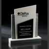 Crystal and marble award plaque recognizing top distributor performance, features DePuy Spine Inc. logo and recipient engraving.