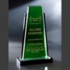 Green crystal plaque engraved “Excellence Award in Orthopedics,” honoring achievement for OrthoCarolina employee.
