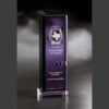 Purple crystal plaque with Texas APCO logo, awarded to Tarrant County 911 District for exemplary support.