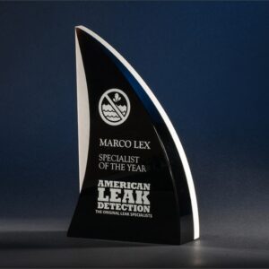 Black crystal sail-shaped trophy with water logo, honoring Specialist of the Year for corporate achievement.
